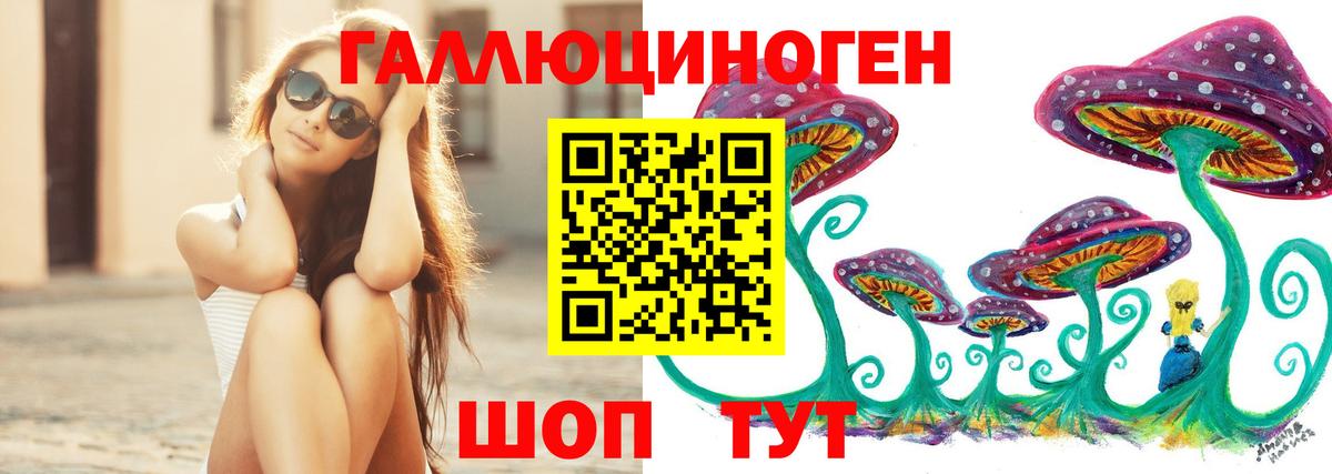 купить наркоту  Галлюциногенные грибы Psilocybine cubensis  Вход с VPN  Егорьевск 